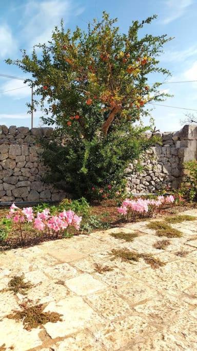 Villa Trullo Mami Putignano Exterior foto